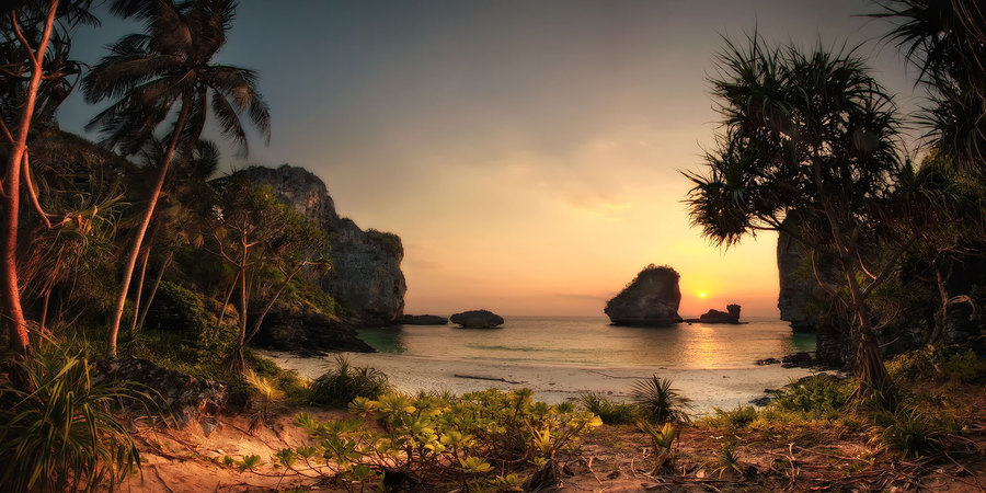 Sea and palms | sunset, sea, rocks, palm