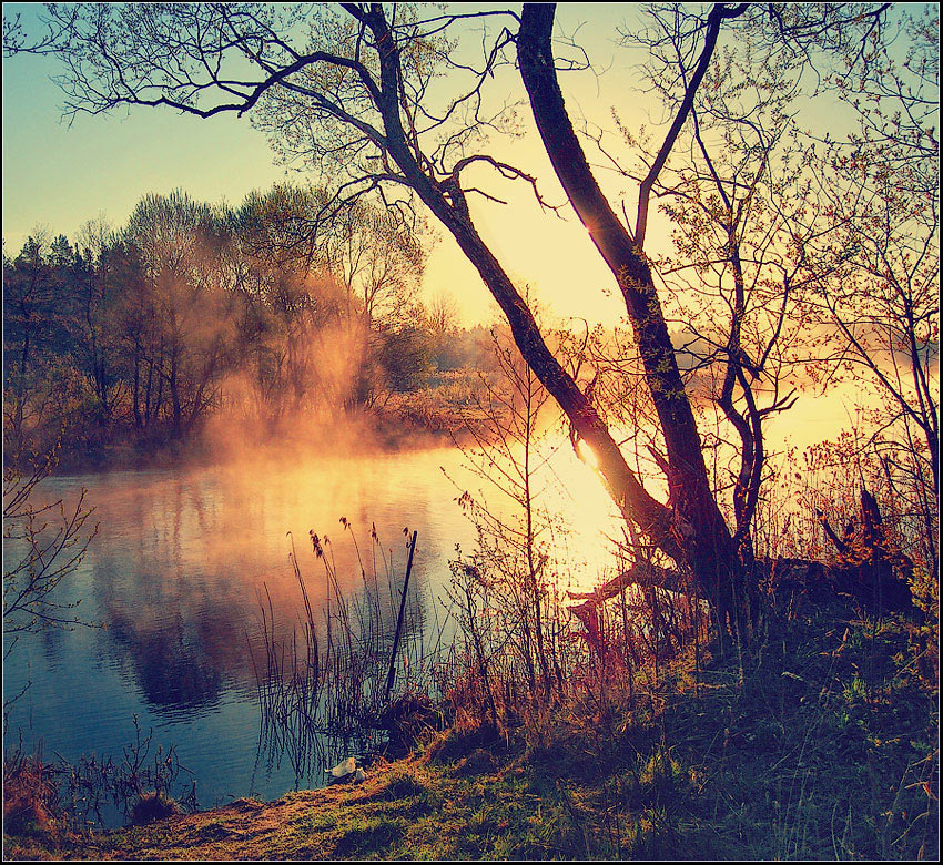 Seeing the sunrise | shore, branches, haze, dawn, river