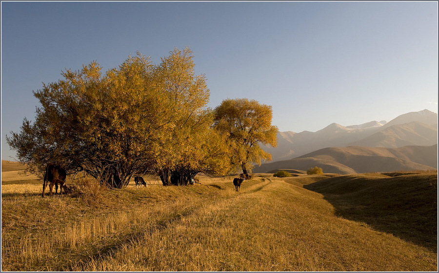 autumn landscape | skyline , mountains, trees, mist, animals