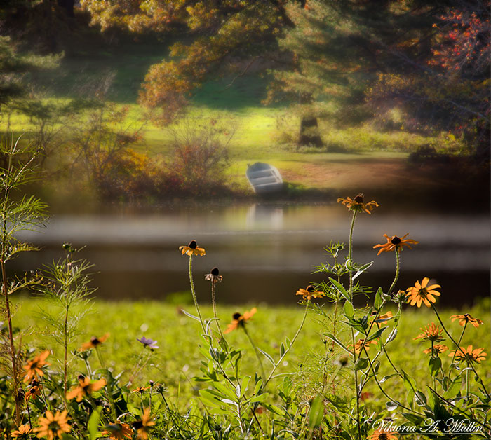 Spring green | spring, green, river, boat