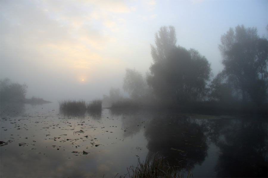 Misty morning | water, trees, mist, sunrise, river