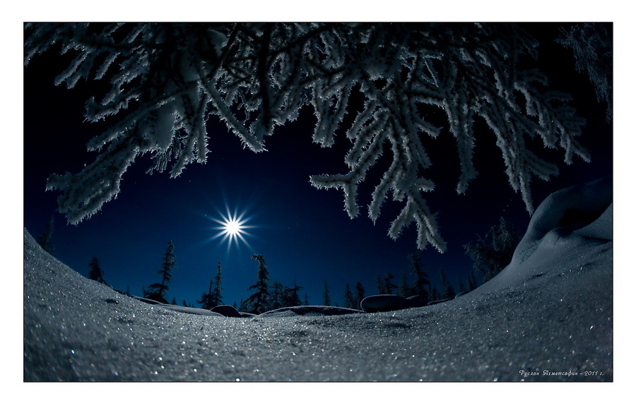 Lunar etudes | winter, ice, forest, sun, frost