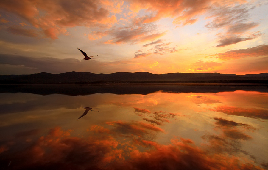 At sundown | water, skyline, dusk, reflection