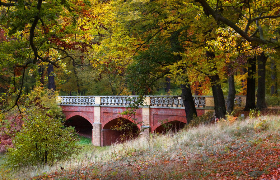 Red bridge | bridge, fallen leafs, autumn, tree