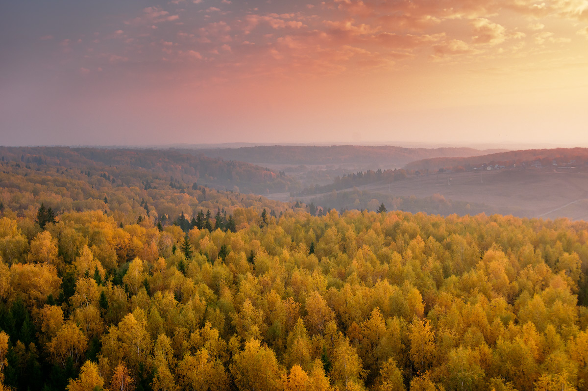 Above the greenwood | greenwod, sky, dusk, hills