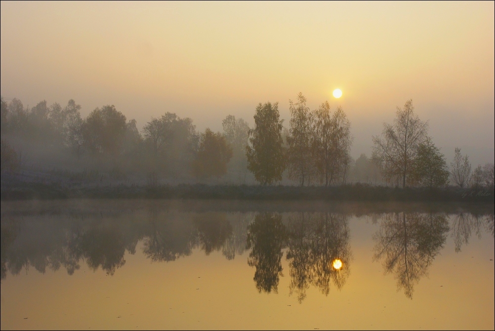 Declining autumn sun | landscape, evening, water , sun , sky  , fog , trees , autumn, reflection , dark