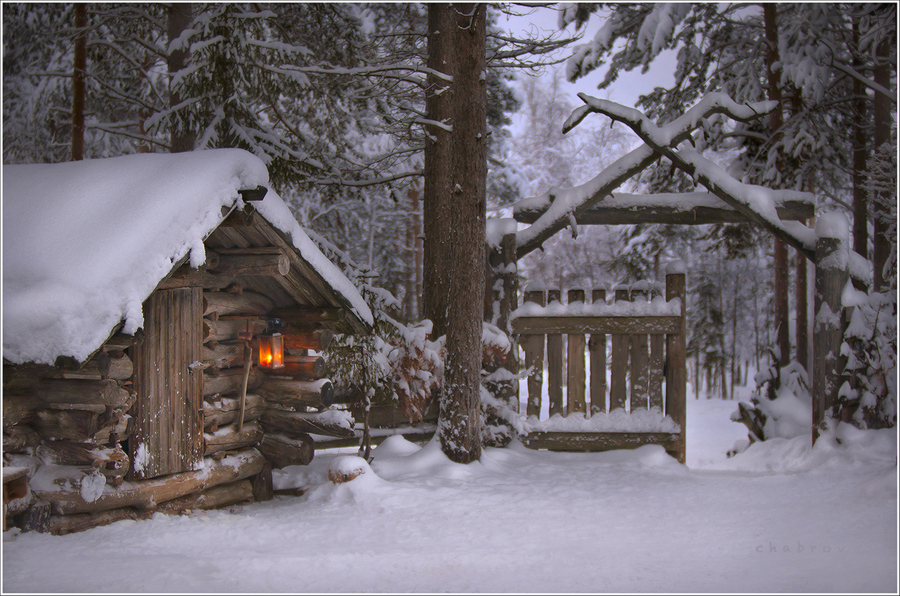 Visiting the fairy-tale | trees, house, winter, forest