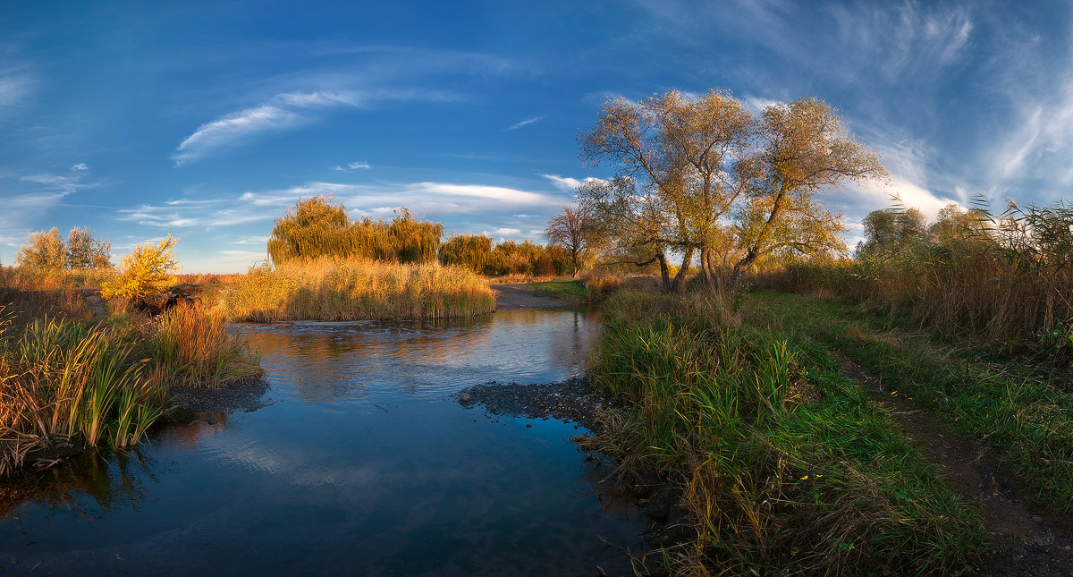 New lens test | river, water, poplar, sky