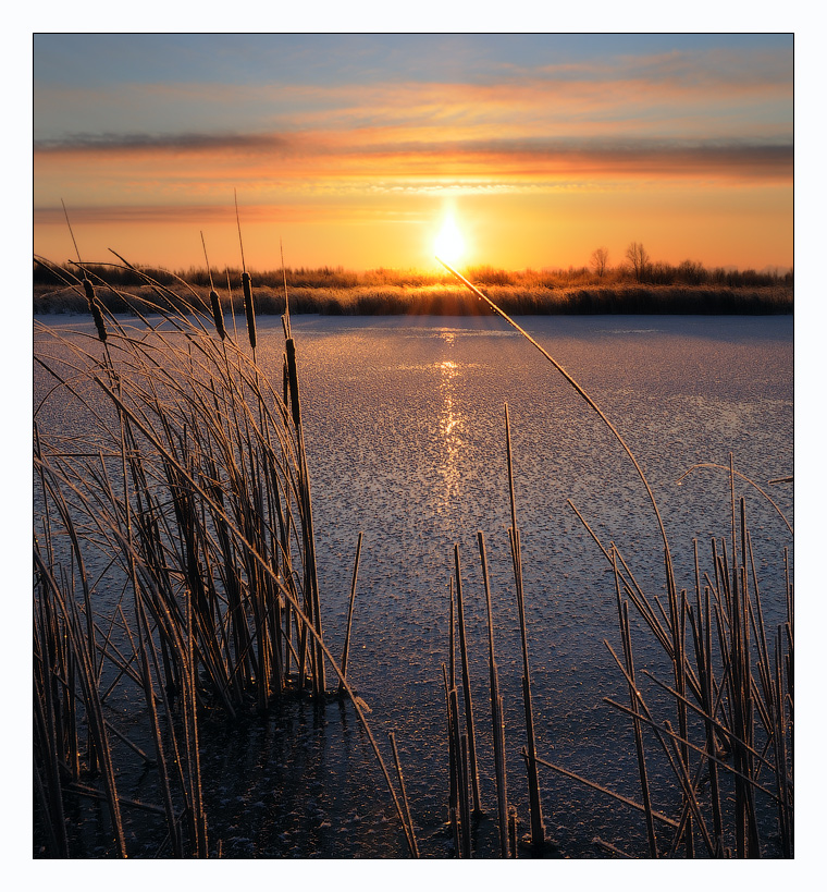 The Sun close-up | the Sun, close-up, river, skyline