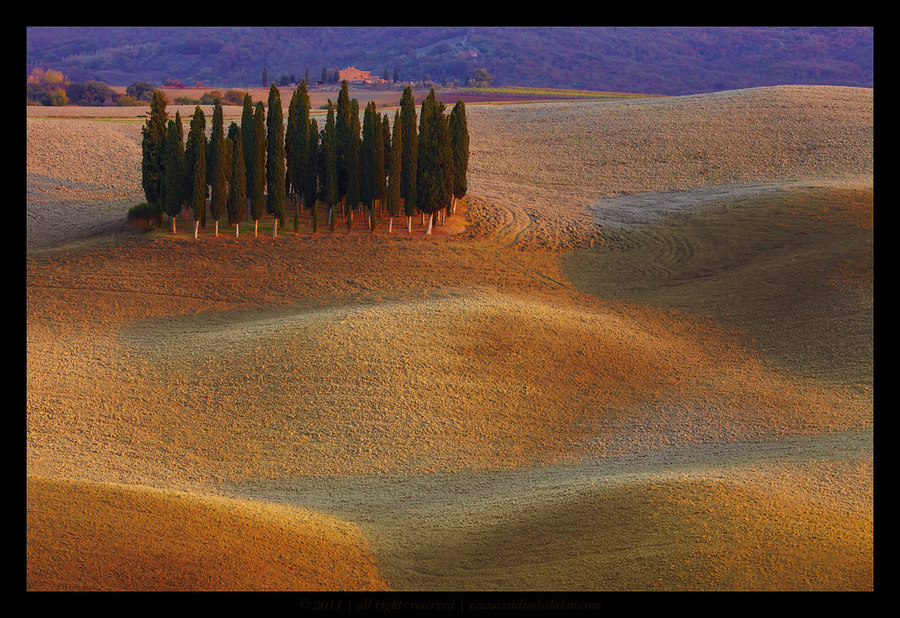 Weird hills | hills, weird, field, lombardy poplar