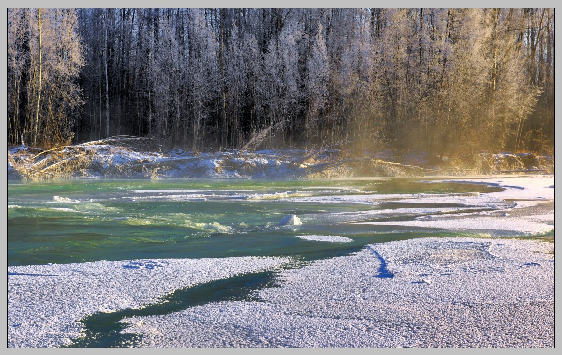 Birches covered with snow | frosen lake, birch, snow, winter