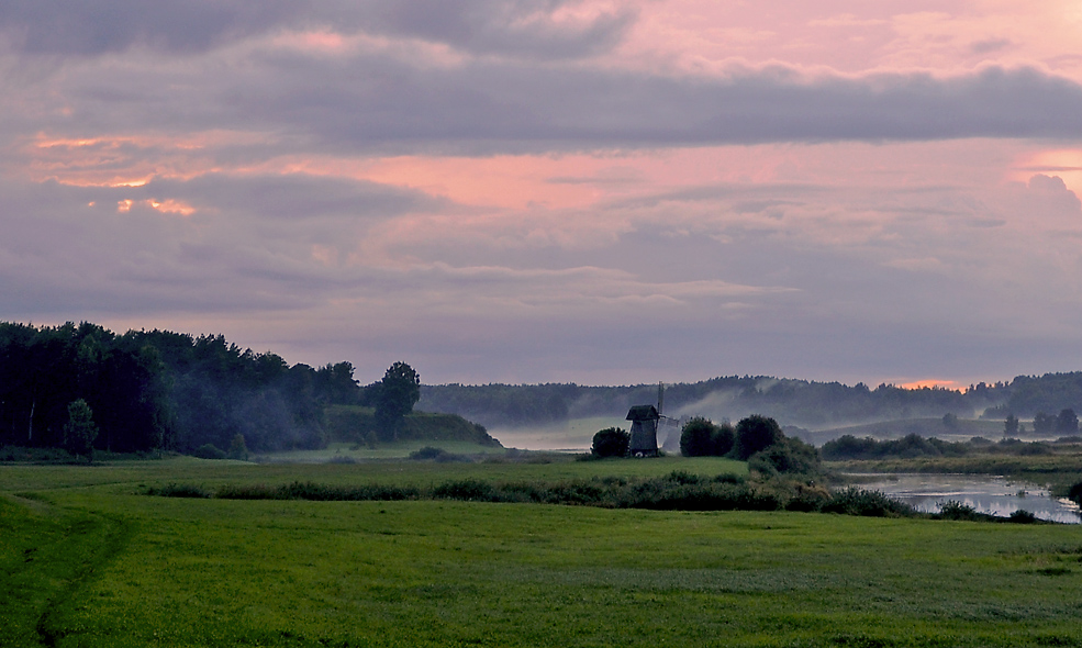 Before the dusk | dusk, field, forest, nature