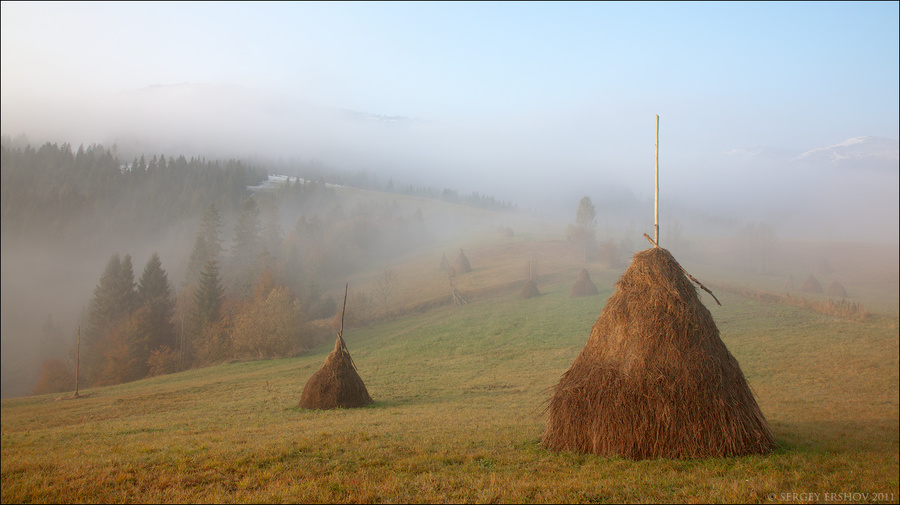 Stacks of hay | stack, hay, field, summer time