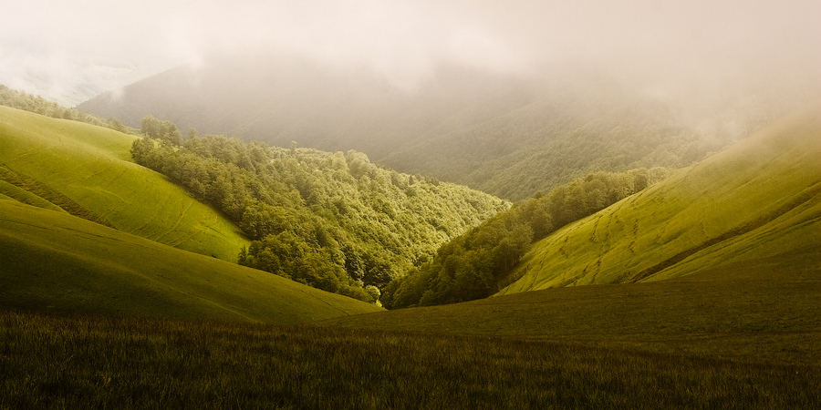 Between the hills | hills, wood, fog, dull sky