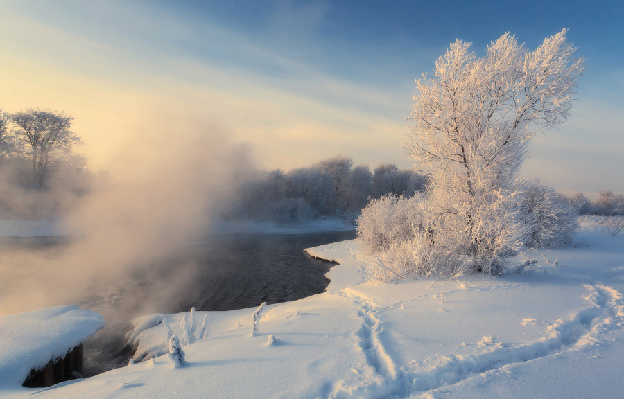 Winter and steam | steam, snow, winter, ice