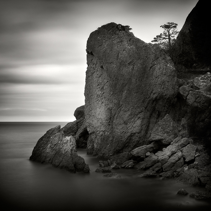 Black and white cliff | black and white, cliff, sea, tree