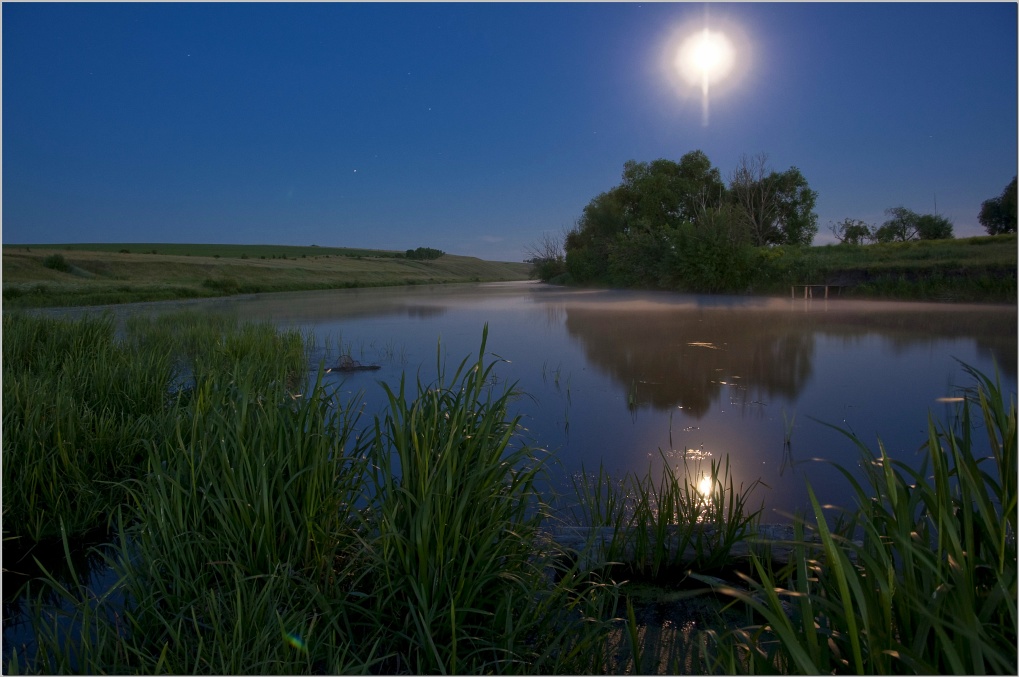 Reflection of a full moon | moon, reflection, lake, tree