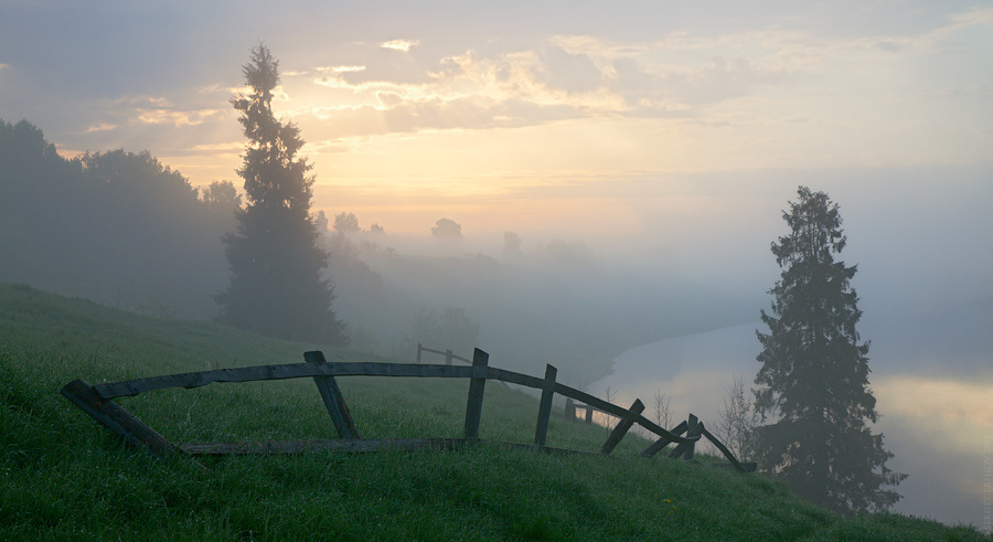 Foggy dawn | fog, sky, fence, cedar