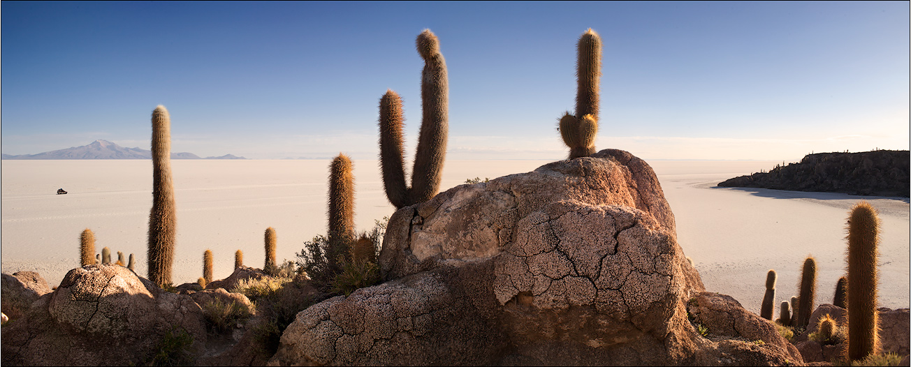 Island of cactuses, Pescadores | Bolivia, panorama, Pescadores, island, cactus, stones , sand, skyline  , sunny, shadow 