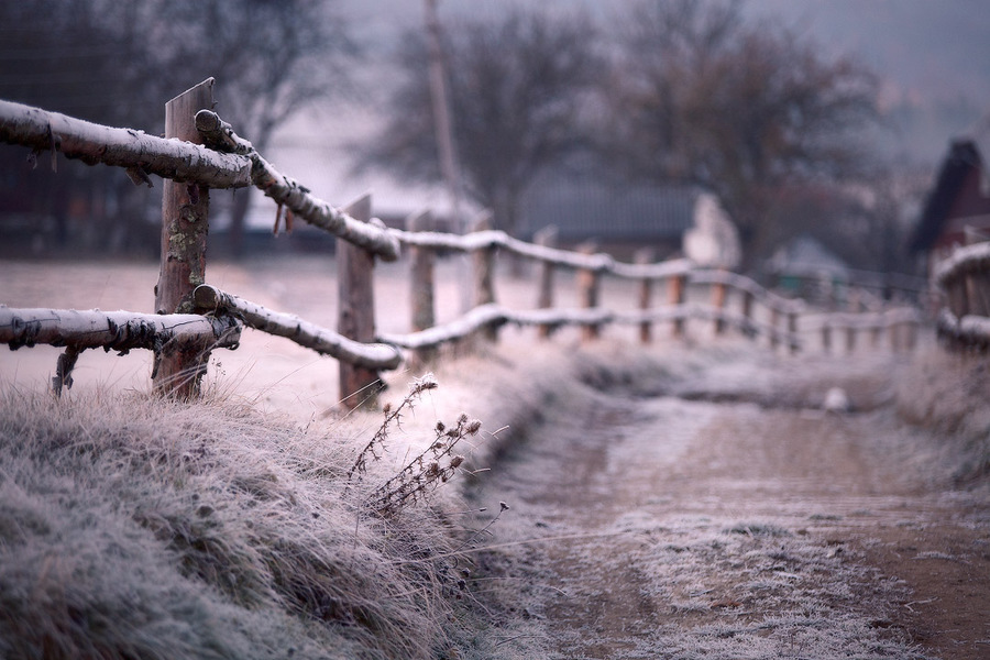 Frosen fence | fence, winter, road, countryside