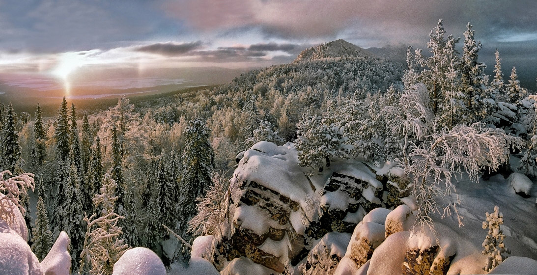 Above the pine wood | pine wood, clouds, sky, winter