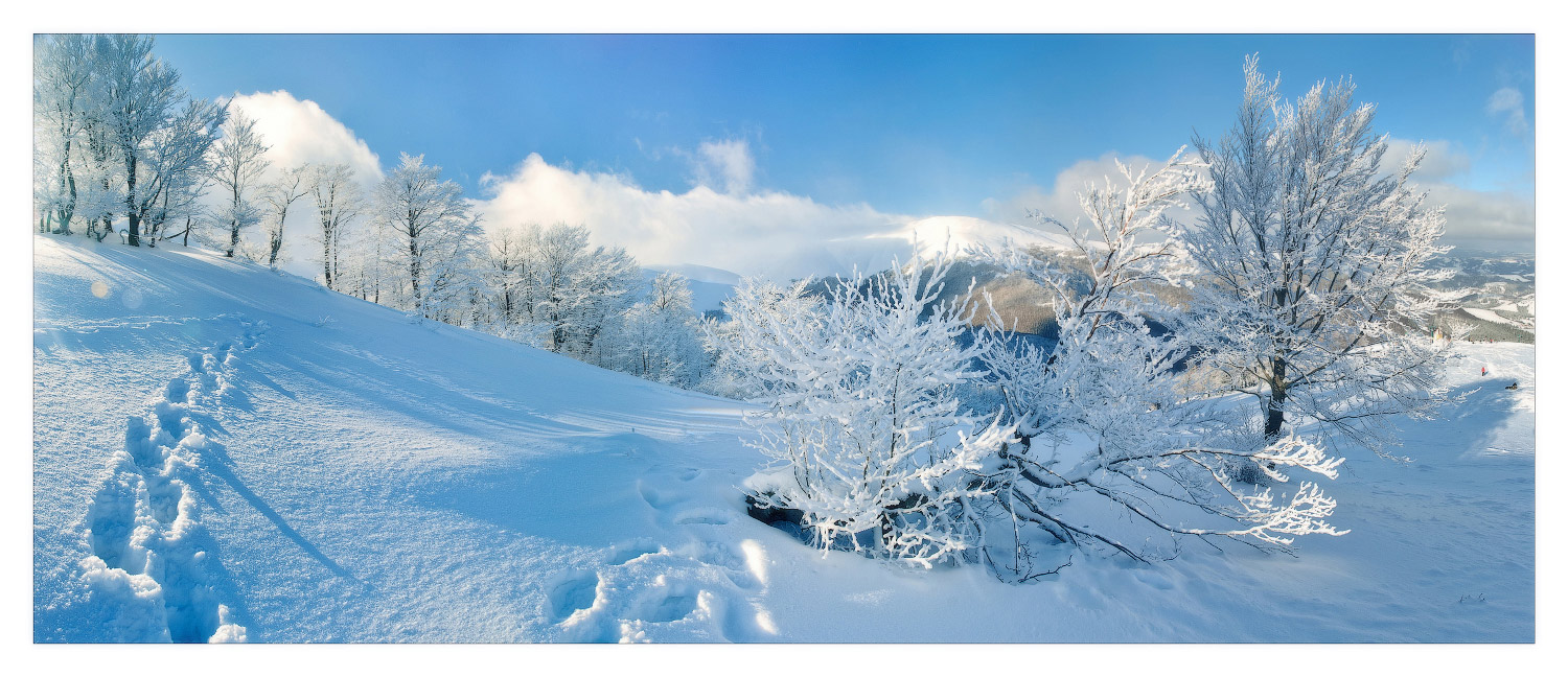 Winter sunny day in Carpathians | landscape, nature, winter, snow, trees, sunny day, Carpathians, clouds, blue sky, footprint 