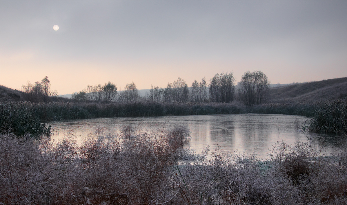 Winter sun | landscape, nature, outdoor, winter, snow, lake, dry grass, frost, sun