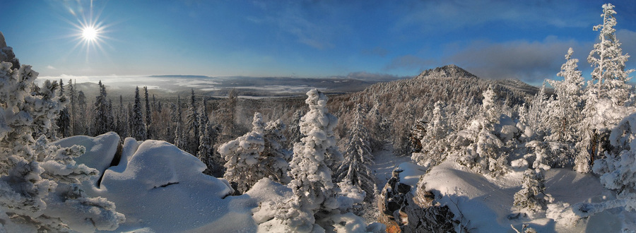 Frosty morning | trees, winter, snow