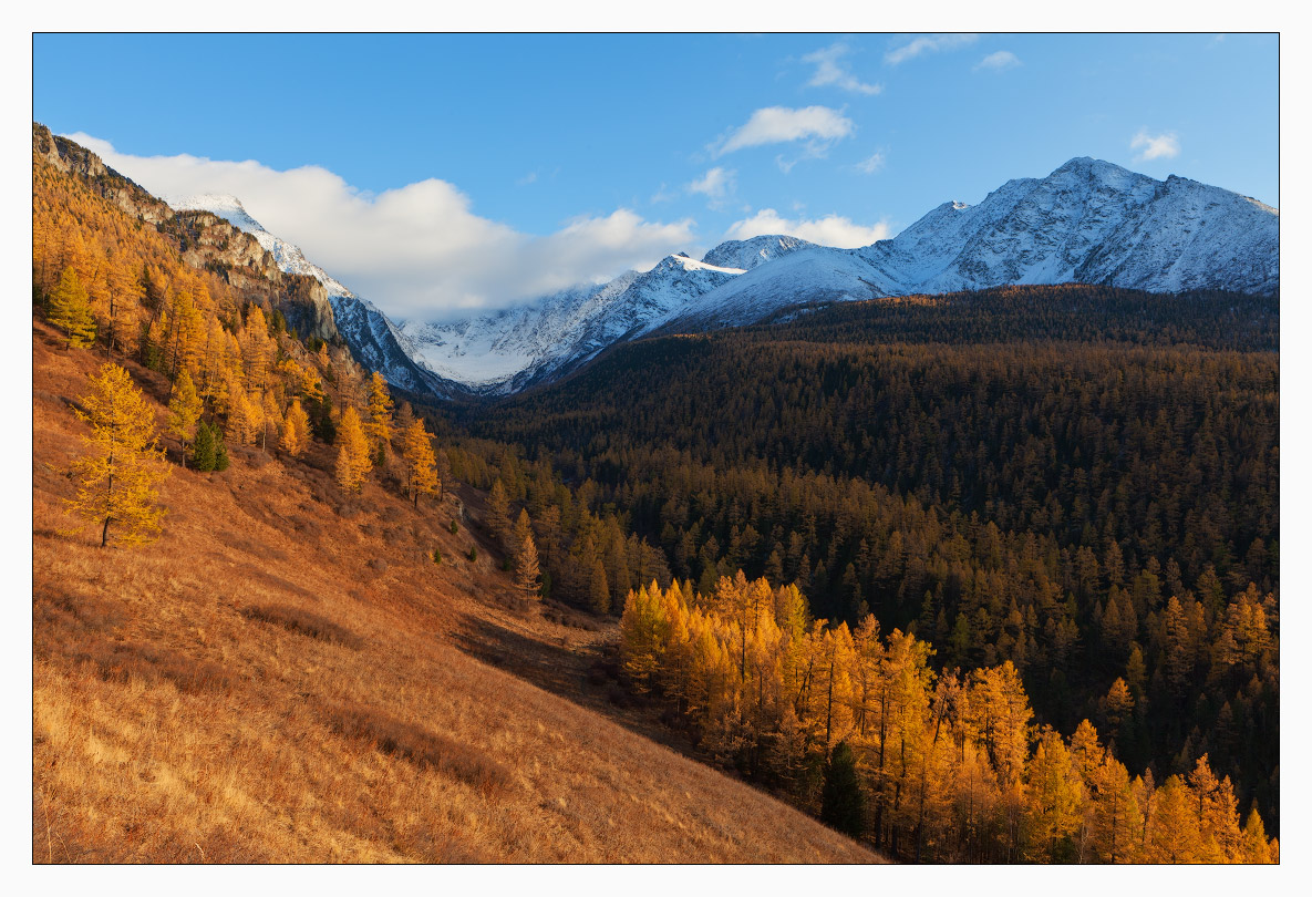 Between summer and winter | summer, winter, snow, grass