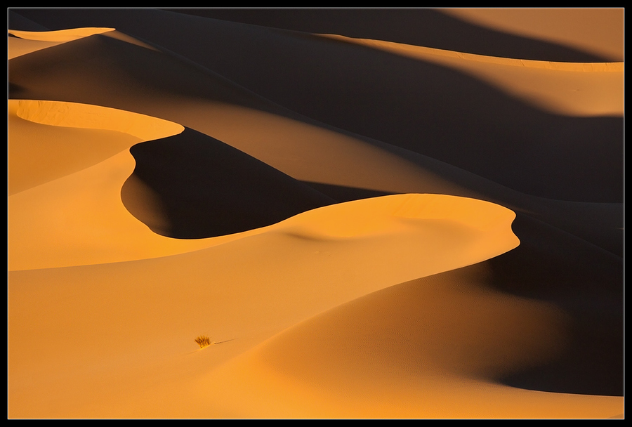 Natural sand art | sand art, desert, sand, heat