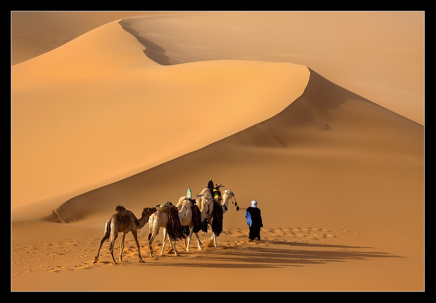 The road home. Libya | sand, hills, camel