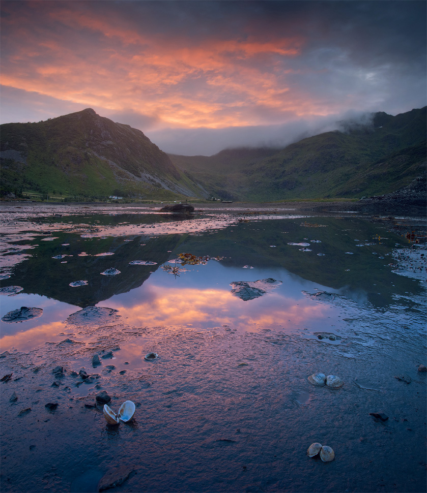 Ebb, Norway | landscape, nature, Norway, ebb, water, sunset, clouds, Lofoten, fjord, mussel