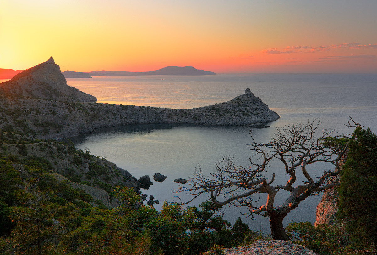 Cape Capchik, Crimea | Crimea , landscape , dawn , sea , mountains, scarlet , cape , tree , sky , Capchik