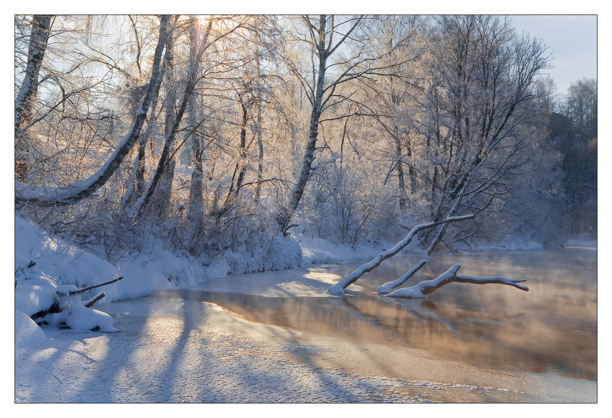 Flooded wood | flood, wood, high water, snow