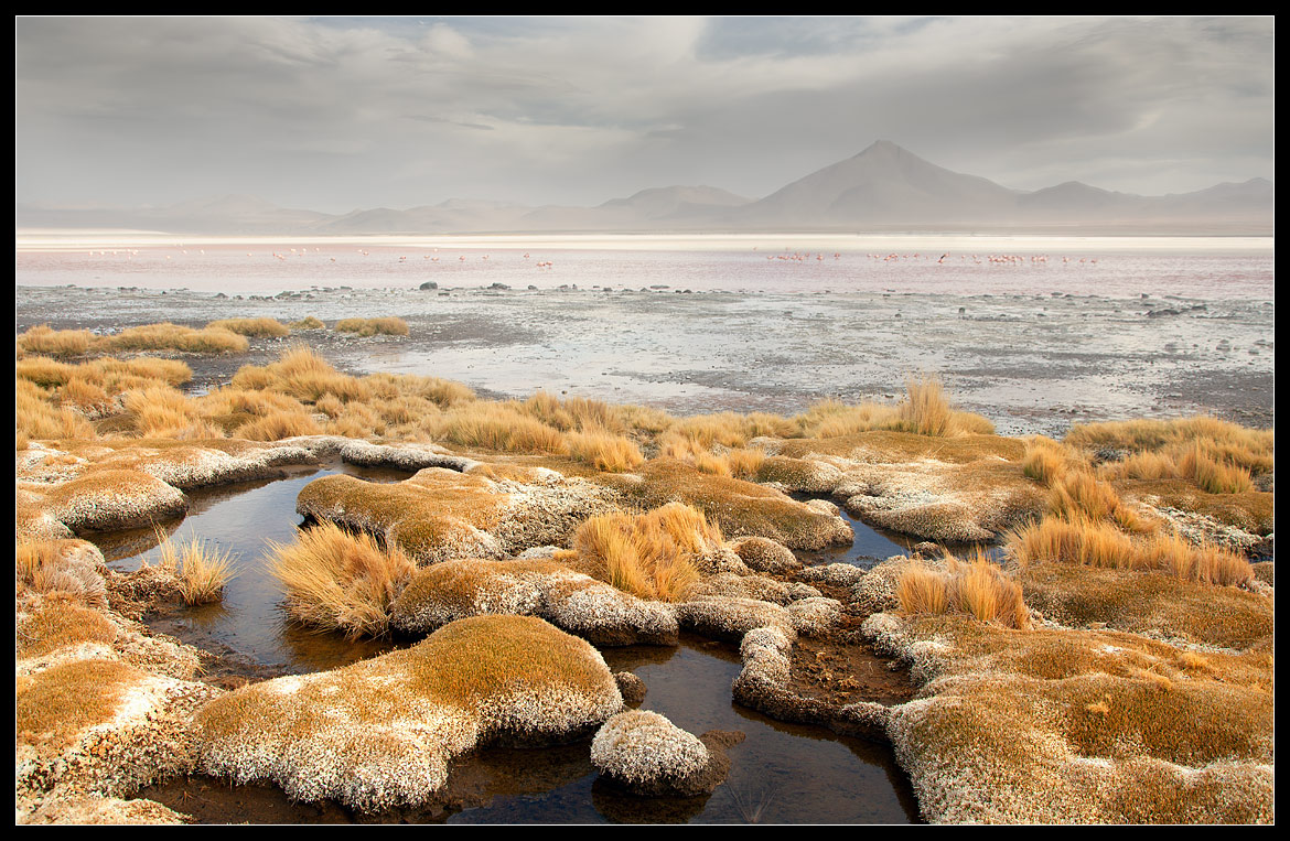 Thaw holes | ice, water, thav hole, fog