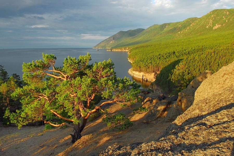 Summertime | summertime, hill, green, sea