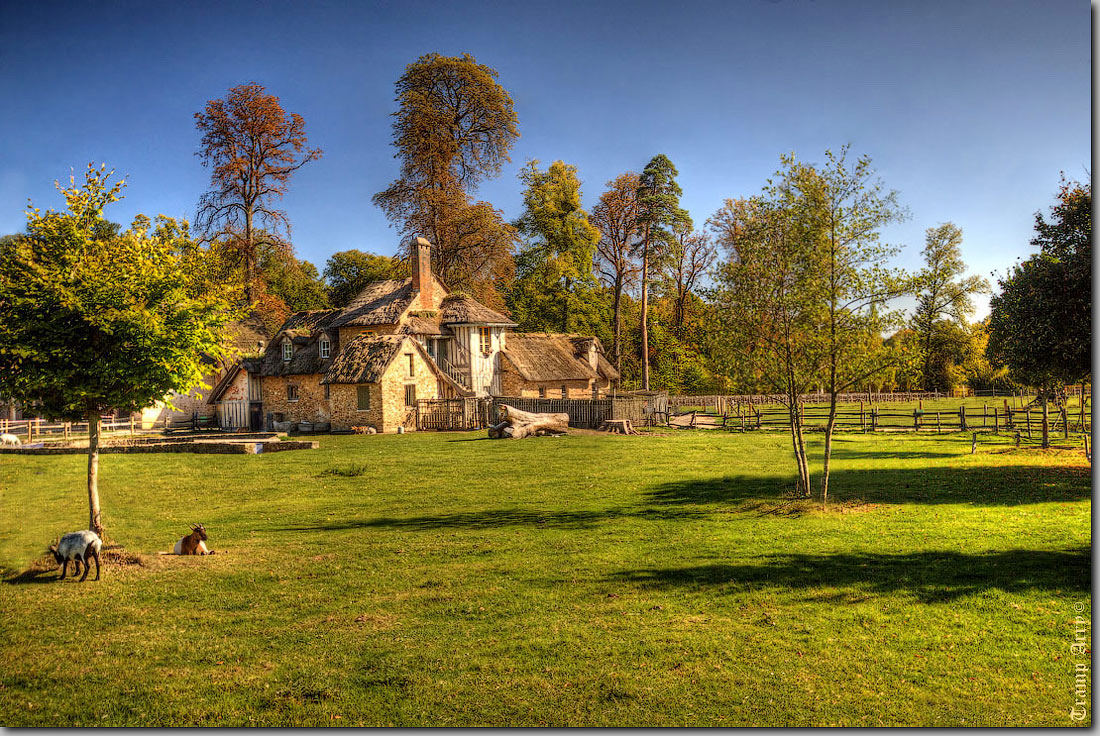 Farm | farm, field, grass, sheep