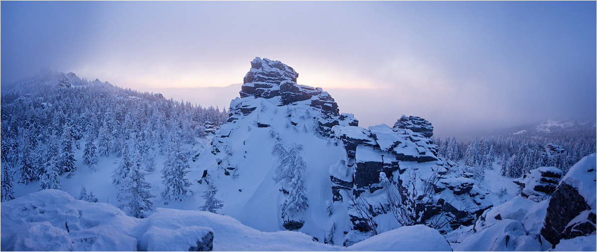 Snowy cliff | Blue sky, snow, spruce, rocks