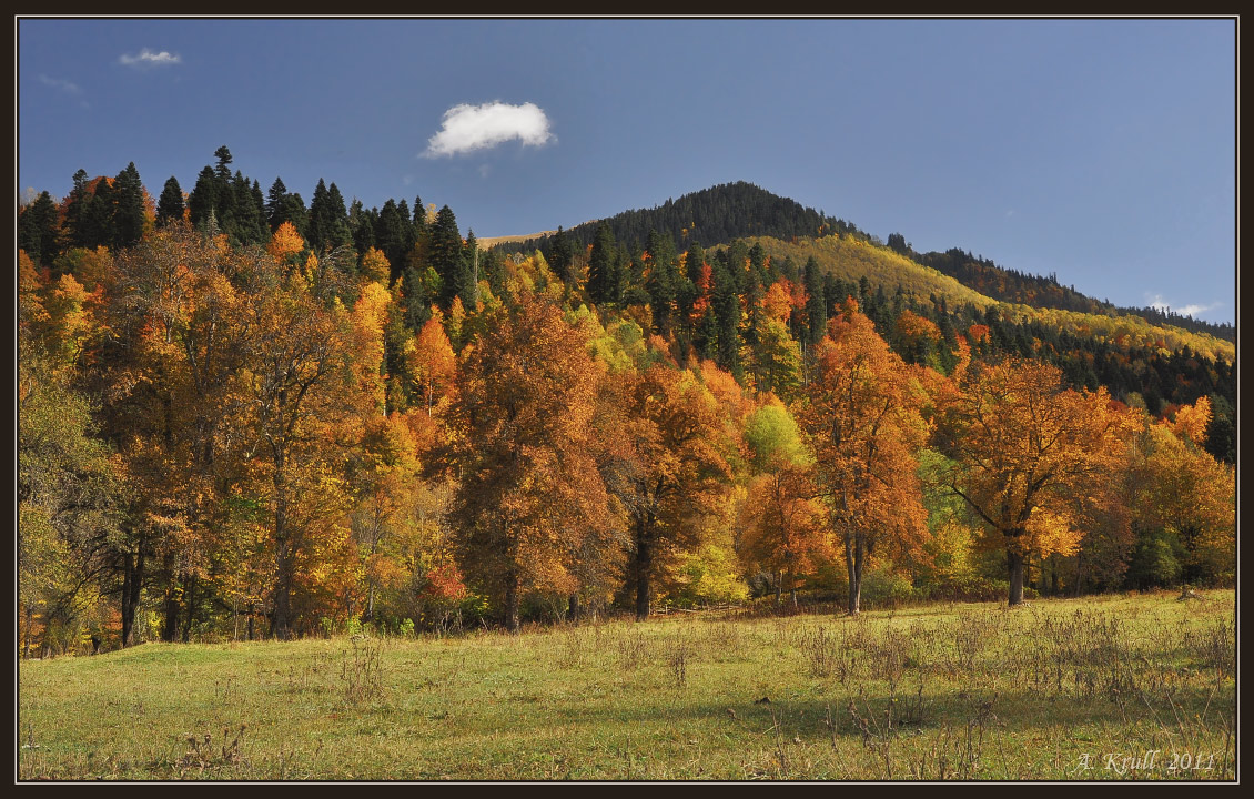 Mellow autumn in the Caucasus | Caucasus, mountain , autumn, october, Karachai-Cherkess, sky, grass, sunny , golden, trees