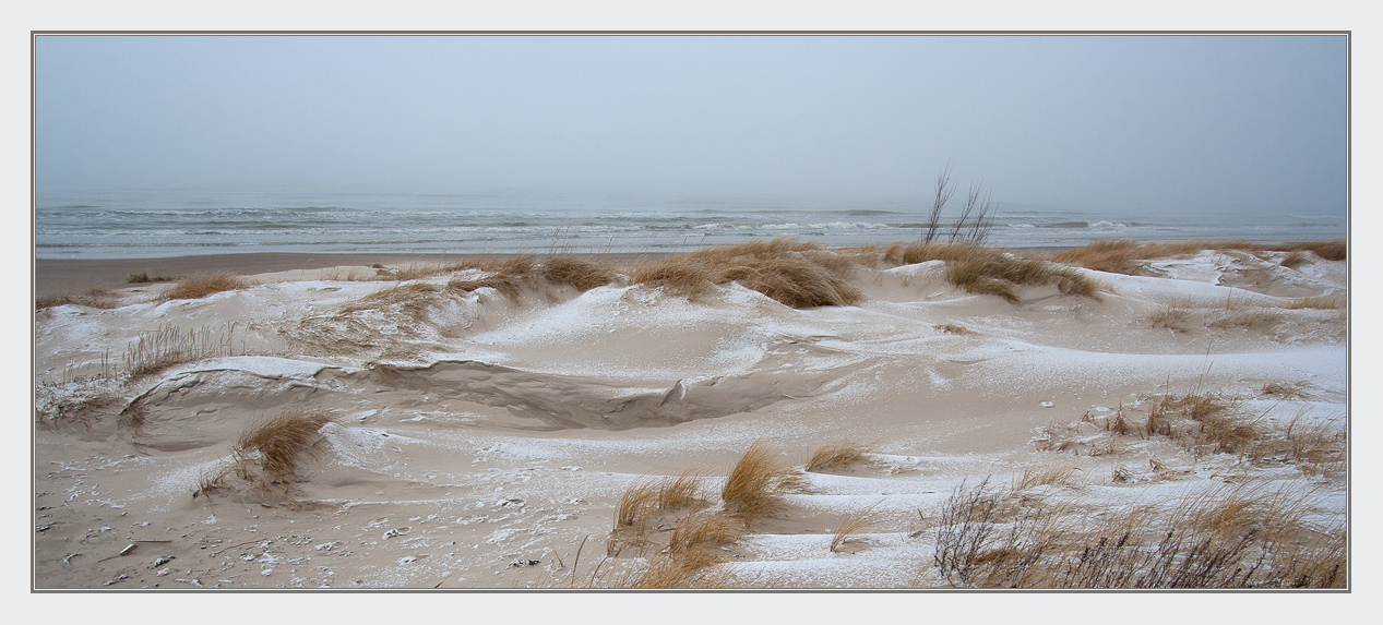 Windy morning | wind, morning, winter, snow