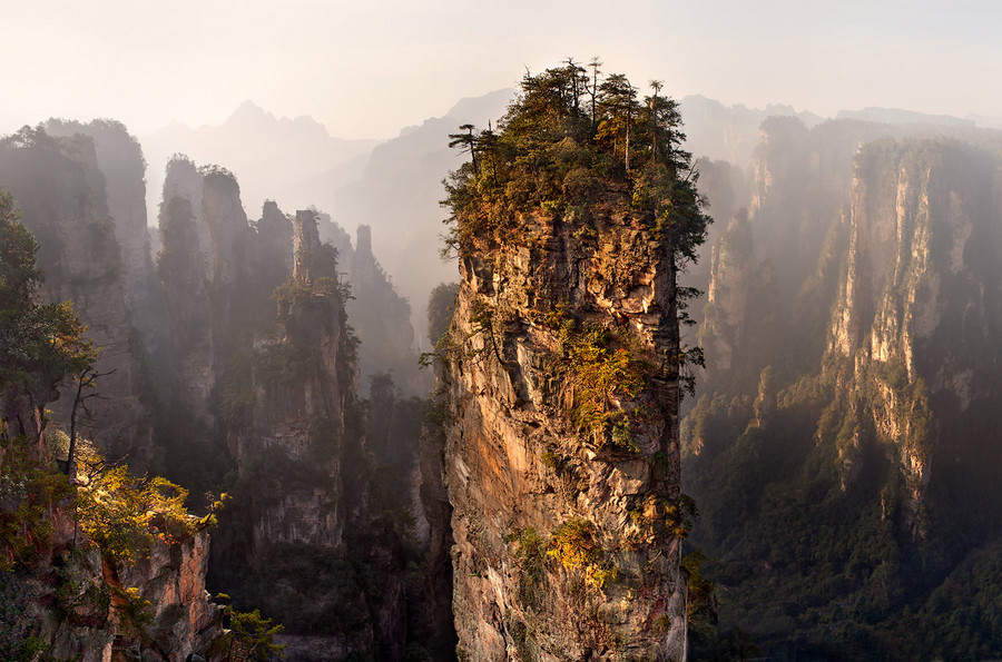 Treelike cliff | cliff, tree, fog, abyss