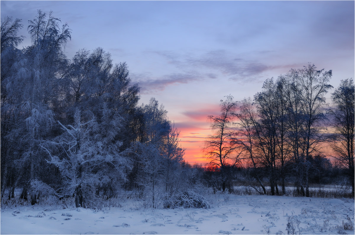 Winter caption | winter, forest, snow, sky