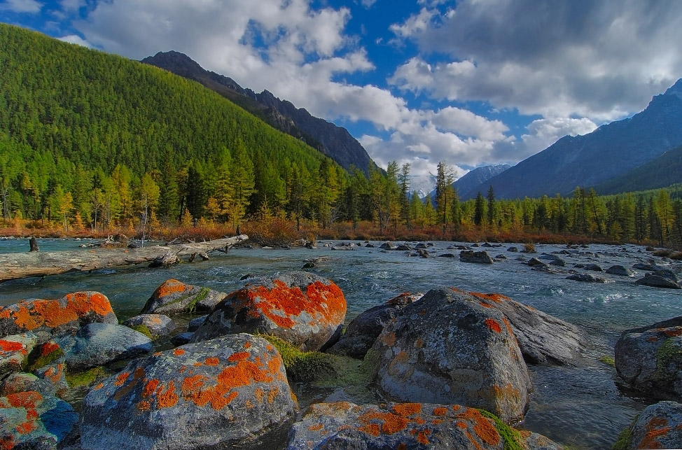 Red stones | red stones, water, pine wood, clouds