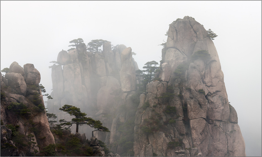 Cliffs in the haze | haze, cliff, tree, stone