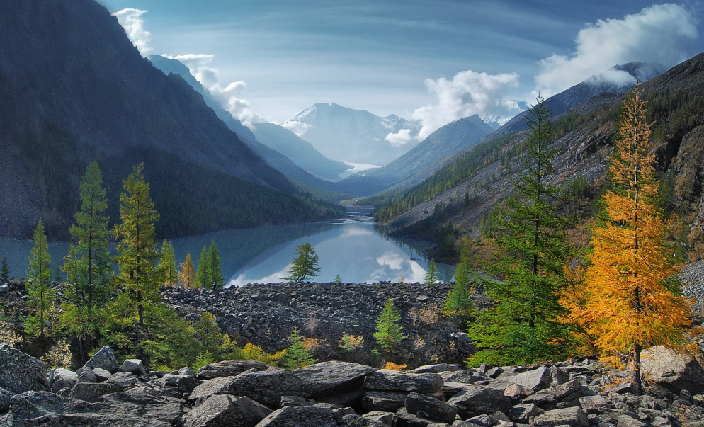 Mountain river and spruces | river, mountain, spruce, hillside