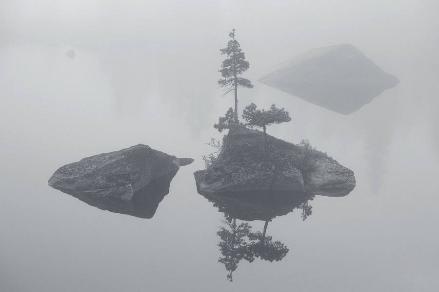 The flood | spruce, island, rock, water