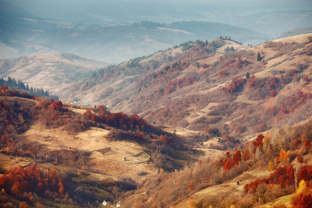 Smoky hills | hill, dry herbs, hillside, summer