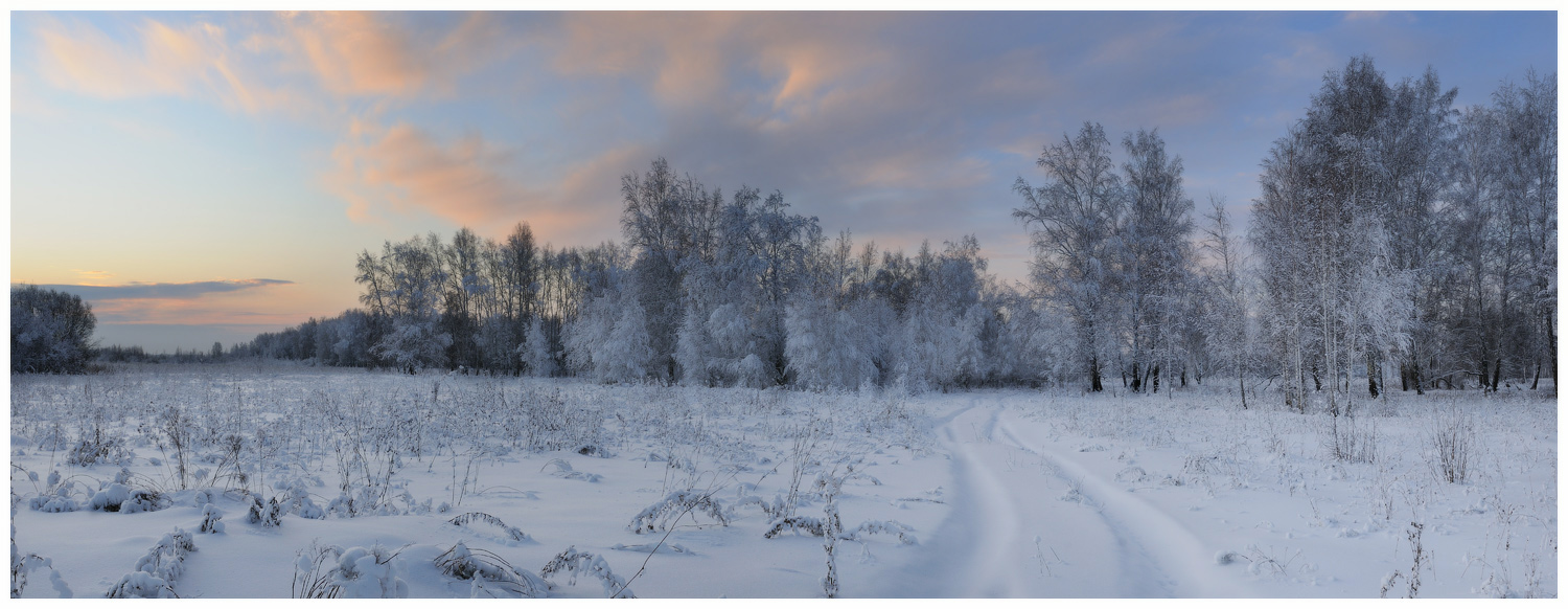 Everything is in snow | snow, wood, road, sky