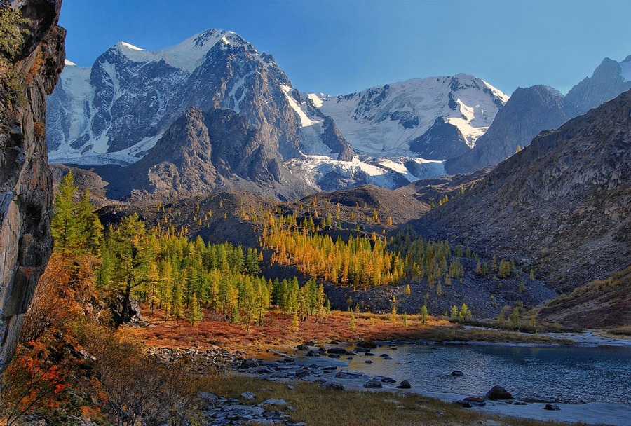 Behind the root of the mountains | root of the mountain, snowy peak, spruce