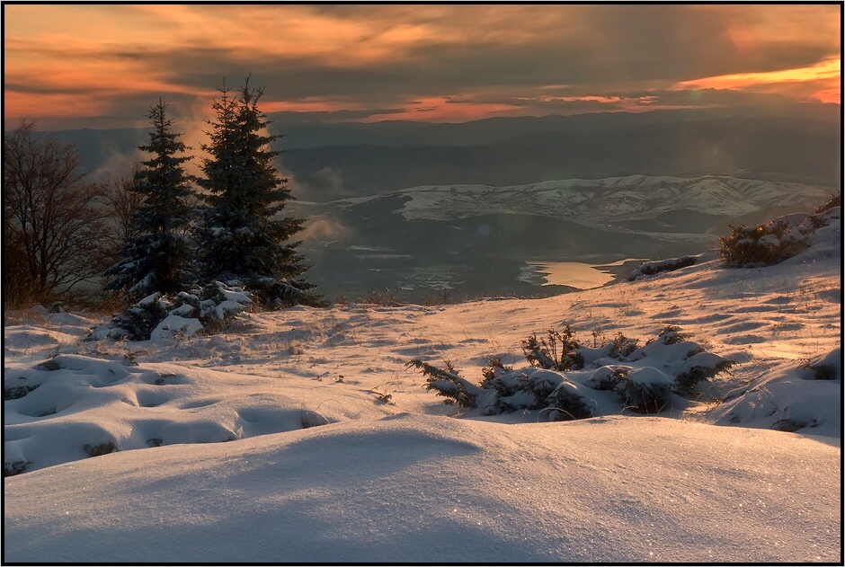 Vitosha, winter in Bulgaria | Vitosha, mountain, massif, Bulgaria, winter, landscape, snow, sky, firtree, shine